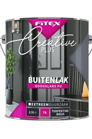 Actieprijs Fitex Creative PLUS Buitenlak Hoogglans
